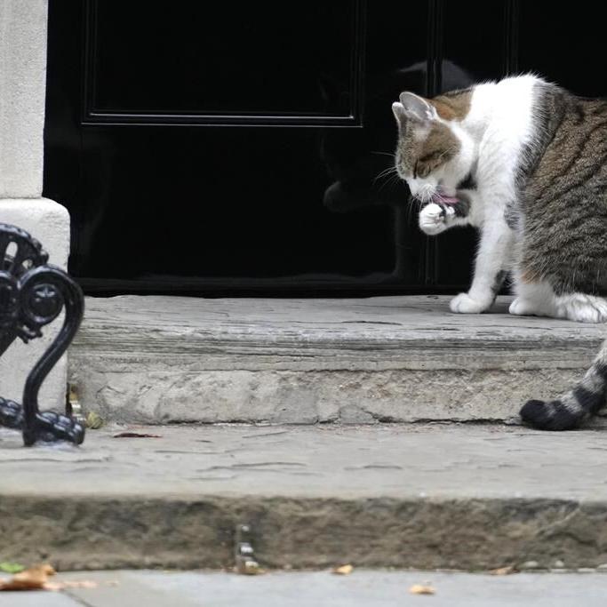 UK's Truss drops tax cuts, axes Treasury chief amid turmoil